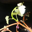 샤인목욕탕 이미지