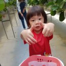 5월 3주 사랑가득<b>반하루</b>♡