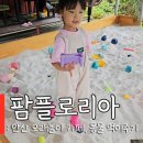 안산 아이랑 갈만한곳 모래놀이 카페 팜플로리아