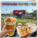 돈블럭 | SSG랜더스 1루 내야 102B블럭 시야 후기｜아기랑 문학야구장 직관 추천⚾