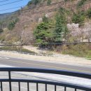 뷰모텔 | 무주모텔 구천동펜션모텔 바로 앞 계곡뷰 시원하게 힐링한 후기