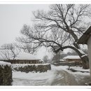 시골풍경 이미지