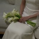 유모멘트(주) 아펠가모 반포점 | 아펠가모 반포 본식 후기 (11시 웨딩, 보증인원, 예식 세부 내용 공개)