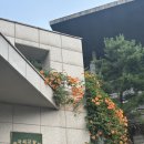 사우디에너지(주) | 🌏제9회 대학생을 위한 글로벌 리더십 단기과정 후기: 현장의 목소리로 듣는 국제 이슈