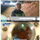 MSG 제조 과정-화학 조미료가 아닙니다. 이미지