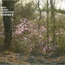 백운면 2428 이미지