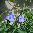 하송1리마을회관 이미지