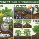 열매사 네이버블로그