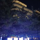 CU강릉소금강삼거리점 | 강릉 뚜벅이 여행 SEA TEA BUS 타고 안목해변부터 주문진까지 완벽정리