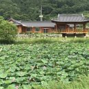 안개 농촌체험 휴양마을 이미지