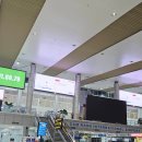 현대인삼 | 깜란국제공항 쇼핑 추천｜바오린 생강·인삼 허브 롤온오일 솔직 후기