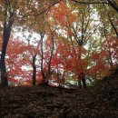 가을걷기코스 이미지