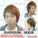 쇼군헤어 Daum카페
