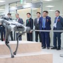 (주)레인보우여행사
