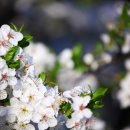 돈까수야 이미지