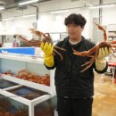 울진대게 이미지