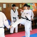 STN태권도장 이미지