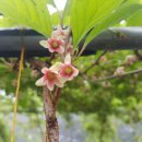 오미농장 이미지