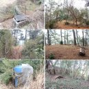 한라오토카 이미지