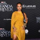 Black Panther Wakanda Forever 이미지