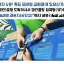 VIP nail 이미지