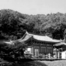 흥왕사 - 여주군 | 흥왕사