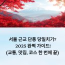양수리스테이 | 서울 근교 단풍 당일치기? 2025 완벽 가이드! (교통, 맛집, 코스 한 번에 끝)