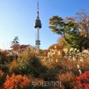 [남부] 해설이있는클래식(2025) 이미지
