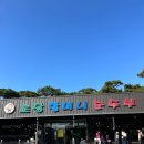 할머니순두부 이미지