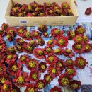 동백4로 이미지