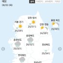 🏝8월 3일 화요일 간추린 뉴스와 날씨🏝 이미지