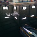 앵남낚시터 이미지