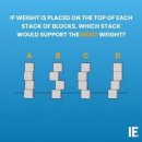 용암 태양광발전소 6호 | Chang'e 6호는 반대편 달 샘플을 가지고 이륙하고, 학교 아이들은 십대 T. rex 화석을 발견하고...