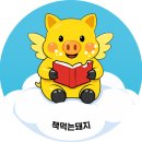 노란돼지