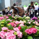 청계축산 이미지