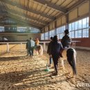 복용승마장 이미지