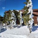 1340 | 정선여행 하이원리조트 케이블카 스카이1340 운영시간 타는곳 후기