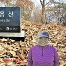 용산5리(무수막) 이미지