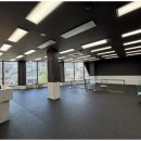 강아지에 빠지다 이미지