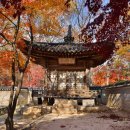 연경당 | 사대부 살림집을 본뜬 조선 후기 접견실, 창덕궁 연경당