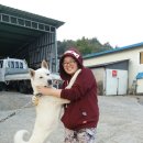 경신농장 이미지