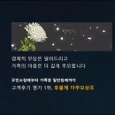 신성자동차(주) | 26년 무빈소 장례식장 직접 후기 정리 및 더추모 후불제상조 가격 정보
