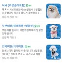 마이제이스 이미지