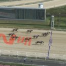 포레스트 G2 이미지