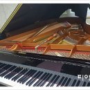 삼호교회 이미지