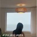 네르하쏠 이미지