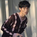 프링헤어 이미지