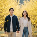 GR(구례군)-[지리산온천로]-상-5 | 구례 산수유마을 축제 2026 개화시기부터 주차 꿀팁까지 총정리