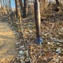 정발산공원 이미지