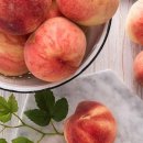 와이식자재마트 이미지